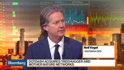 Dotdash CEO Sees 'Green Content' as the Next Great Opportunity News Clip