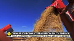 Trump-Xi meeting: Focus on soybeans after tariff clash News Clip