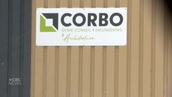 Caraquet faces $3M cost to fix arena’s structural problems News Clip