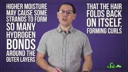 From Your Head to Your… Anus: The Truth About Hair | Compilation Instructional Video