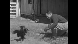 Boxer Robert Steele puts on the gloves to go a few rounds with his rooster Enrique News Clip