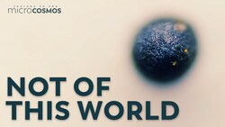 Microscopic Space Travelers Instructional Video