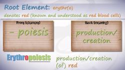 HST-MT - Medical Terminology of the Cardiovascular System Pt. 2 Instructional Video
