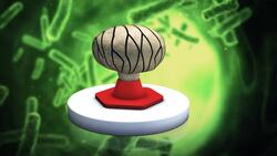 Mushroom and bacteria turn light into clean energy Instructional Video