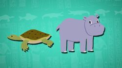 I WONDER - What Animals Live In The River Nile? Instructional Video