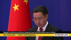 China’s retaliatory tariffs on U.S. imports now in effect News Clip