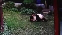 Man survives tussle with panda in Chinese zoo News Clip