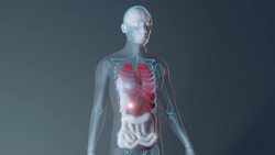 How Do Deep Sea Fish Survive the Extreme Pressure? Instructional Video