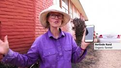 Australians return home to devastation after fires News Clip