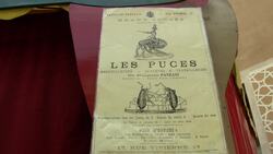 International puppets take to the streets of the Spanish capital Instructional Video