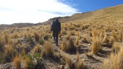 VOICED : Alumnos andinos peruanos suben a un cerro para clases virtuales News Clip