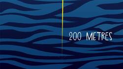 I WONDER - What Bioluminescent Sea Creatures Exist In The Oceans? Instructional Video