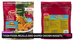 Tyson Foods Recalls Dino-Shaped Chicken Nuggets News Clip