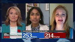 Lawsuits and claims of voter fraud in an undecided U.S. election | U.S. Politics Panel News Clip