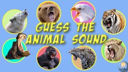 Guess the Animal Sound Instructional Video