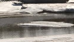 CLEAN : Humanity must rescue oceans to rescue itself UN warns News Clip