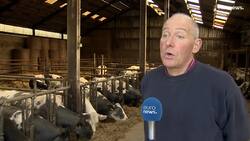 Skyrocketing fertiliser prices sends farmers production costs soaring News Clip