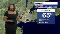 Sunshine and warm temperatures for The Bronx; tracking spotty showers News Clip