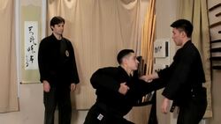 How to Do the Musha Dori Technique from Torite Goho Patterns Instructional Video