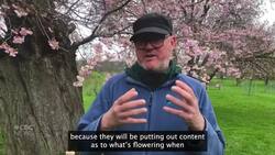 RBG curator offers advice to photographers and gardeners News Clip