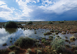 Great flood of the Kalahari Instructional Video