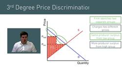 Diagrammatic Analysis: Effects of Price Discrimination on Consumers and Producers Instructional Video