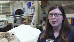 How remote national park made a mammoth discovery (SRL)  News Clip