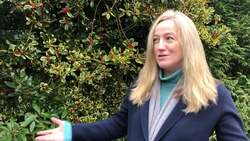 Christmas carols help soothe ‘Baileys Ladies’ on Irish dairy farm News Clip