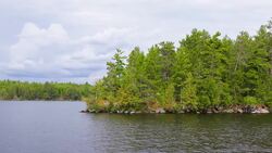 Serene Drone Journey Over International Falls, Minnesota Stock Footage