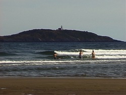 ¿Qué es un pez?: donde viven los peces Instructional Video