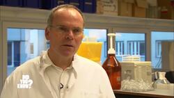 The Future of Food: Innovations for 2030 Instructional Video