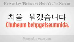How to Say "Pleased to Meet You" in Korean Instructional Video