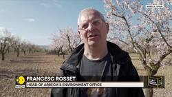 Spain's almond trees bloom 18 days early News Clip