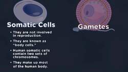 Cells in Your Body Instructional Video