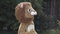 Osaka zoo practises for escaped lion scenario News Clip