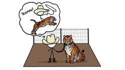 Why Are There So Many Tigers In Texas? Instructional Video