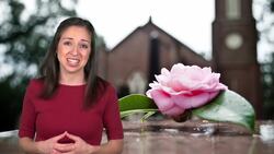 Samuel Morse: From Artist to Telegraph Innovator Instructional Video