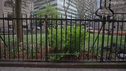 Wall Street's FASCINATING Origin Story | How it Became Manhattan Instructional Video