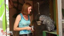 Kemosabe is a Rodent! Instructional Video