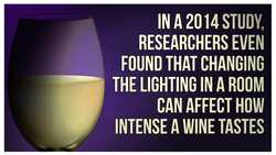 Brain Hacks to Make Your Food Taste Better Instructional Video