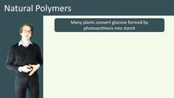 Introduction to Natural Polymers: From Sugars to DNA Instructional Video