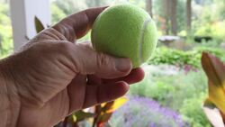 Physical and Chemical Properties Instructional Video