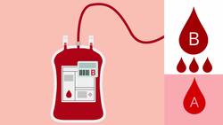 What Happens When You Marry Someone Without Knowing Their Blood Group? Instructional Video