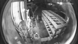 7.3 Magnitude Earthquake Hits Japan, Shaking Tokyo News Clip