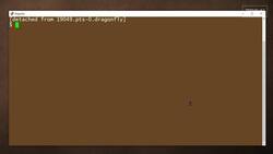 How to use the screen command: 2-Minute Linux Tips Instructional Video
