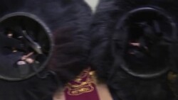 CLEAN : PETA to take UK military to court for rejecting fake fur hats News Clip