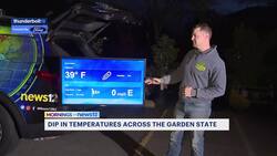 How to protect spring plants from frost and freeze News Clip