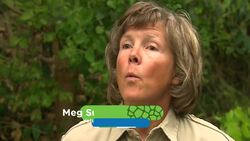 An Exciting Time Is Coming Up For This Little Panda at the San Diego Zoo Instructional Video