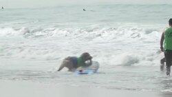 CLEAN : Canines ride waves in annual dog surfing competition in California News Clip