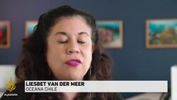 Chile's alginate supply under threat of illegal harvesting, black market News Clip